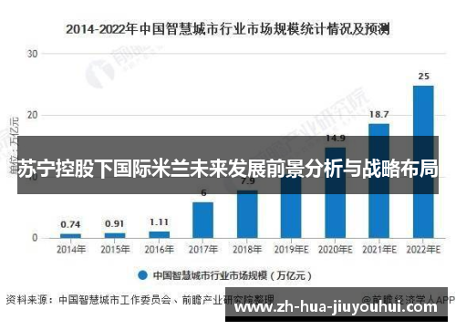 苏宁控股下国际米兰未来发展前景分析与战略布局